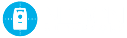Nelson Surveyos Logo